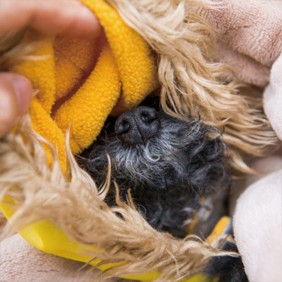 寒空の下でのエブルー街「移動」