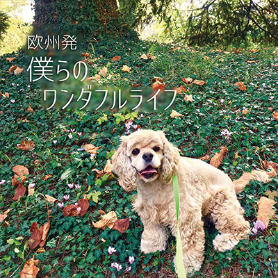 欧州発 僕らのワンダフルライフ　vol.04