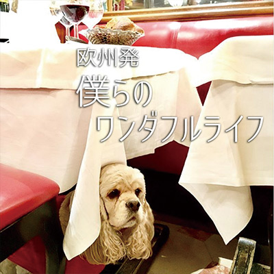 欧州発 僕らのワンダフルライフ　vol.07