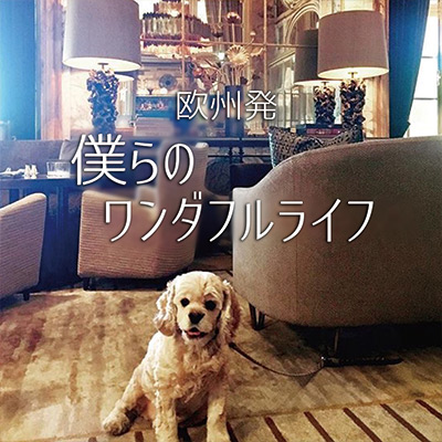 欧州発 僕らのワンダフルライフ　vol.08