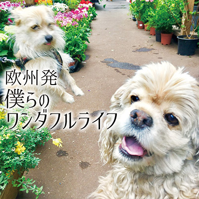 欧州発 僕らのワンダフルライフ　vol.11