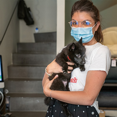 黒犬スキとパリのペットグッズショップ巡り